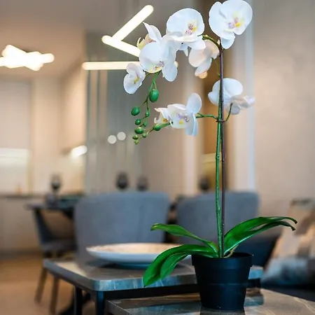 Sky Symphony Appartement *